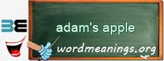 WordMeaning blackboard for adam's apple